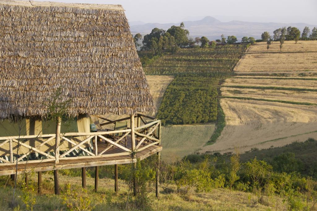 Rhotia Valley Tented Lodge And Children'S Home Karatu Quarto foto