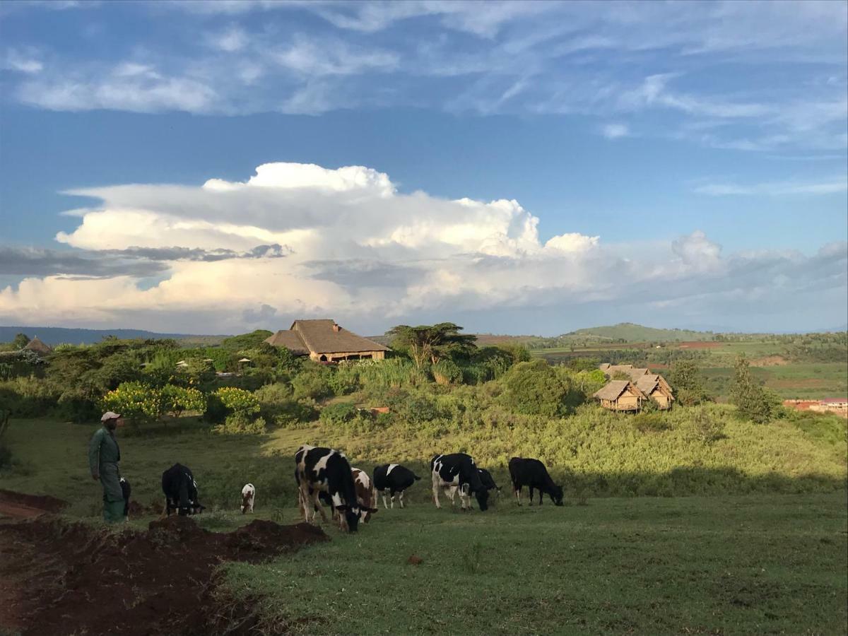 Rhotia Valley Tented Lodge And Children'S Home Karatu Exterior foto